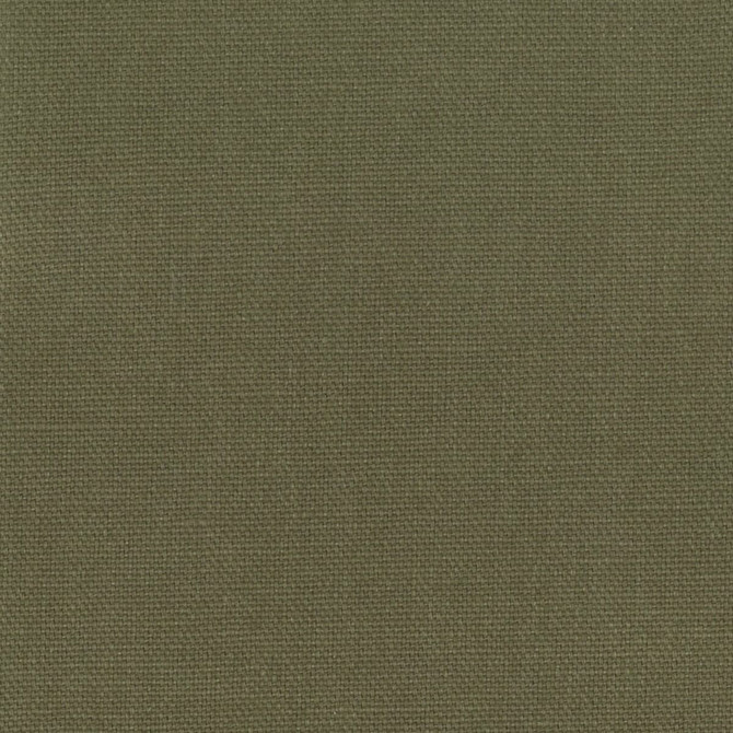 Stout Fabric Oakley 25 Twig FAIRWIND CANVAS 100%COT INDIA WYZENBEEK 50 000 DOUBLE RUB WEAR TEST (HEAVY DUTY) Horizontal: 0 and Vertical: 0 56 in - My Fabric Connection -
