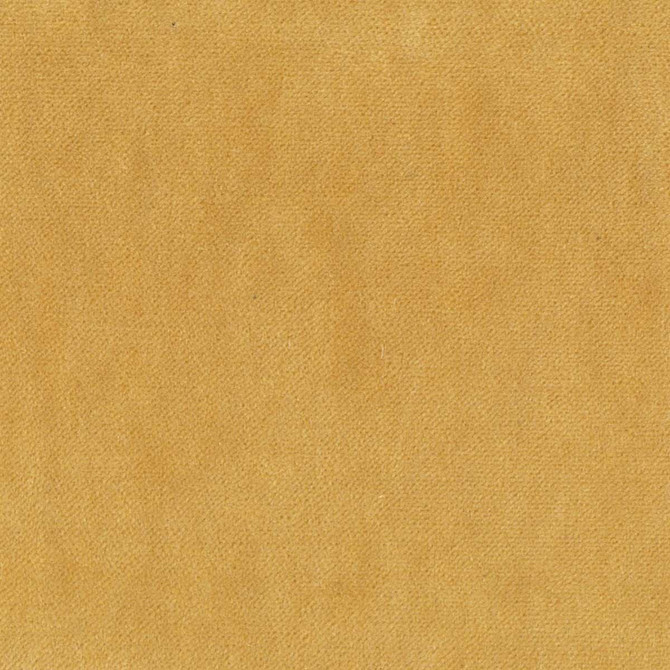 Stout Fabric Eclipse 1 Goldenrod RAINBOW LIBRARY HONEY/CHARDONNAY 75%POL 25%COT CHINA FLAME RETARDANT-CA BULLETIN 117-SECTION E FLAME RETARDANT-U.F.A.C. CLASS 1 WYZENBEEK 200 000 DOUBLE RUB WEAR TEST(EXTREMELY HEAVY DUTY) </p><p>Repeat: 0 54 in - My Fabric Connection -