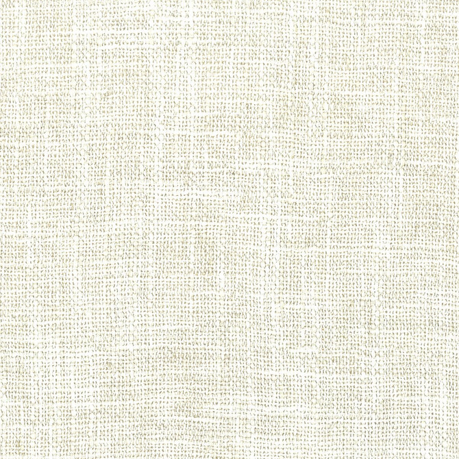 Stout Fabric Induction 2 Shell Comfortable Living Ivory/Sand 60% Polyester 28% Linen 12% Spun Viscose CHINA WYZENBEEK 30 000 DOUBLE RUB WEAR TEST (HEAVY DUTY) Horizontal: 0 and Vertical: 0 56 in - My Fabric Connection -