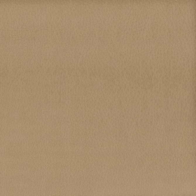 Stout Fabric Hayride 15 Agate ON THE GO 100%PVC 1%OTH TAIWAN Horizontal: 0.000 and Vertical: 0.000 54 in - My Fabric Connection -