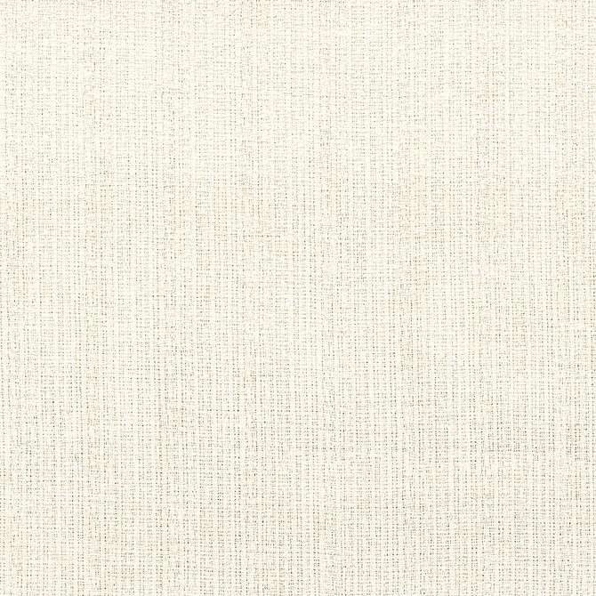 Stout Fabric Ecstatic 1 Parchment Color My Window Natural/Toast 100% Polyester INDIA Horizontal: 0 and Vertical: 0 54 in - My Fabric Connection -
