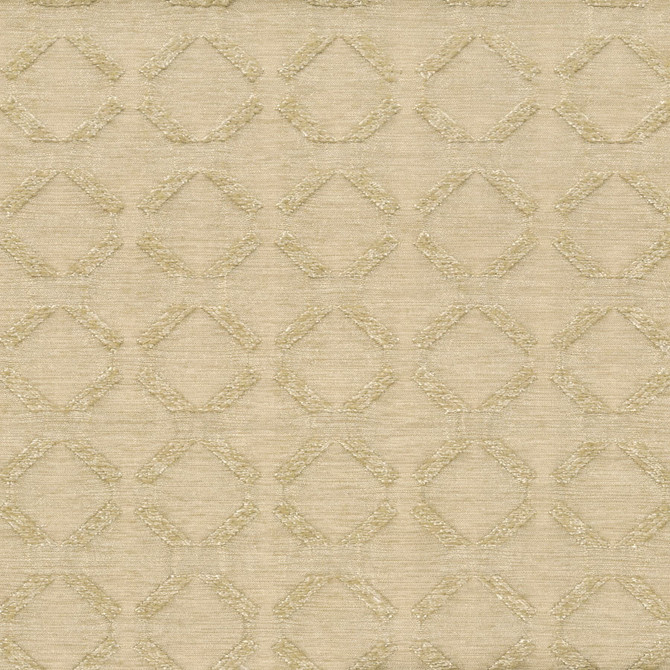 Stout Fabric Edition 2 Mushroom Fabric INDIA </p><p>Repeat: H: 1.375, V: 1.250 55 in - My Fabric Connection -