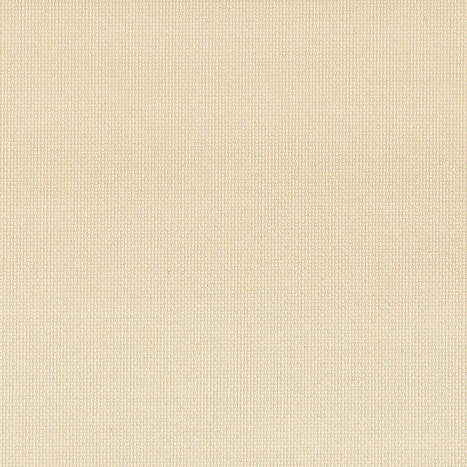 Stout Fabric Trio 5 Beige On The Go 100% Polyurethane 1% Other CHINA FLAME RETARDANT-CA BULLETIN 117-SECTION E FLAME RETARDANT-U.F.A.C. CLASS 1 (OR A) FLAME RETARDANT-N.F.P.A. 260A CLASS 1 WYZENBEEK 500 000 DOUBLE RUB WEAR TEST(EXTREMELY HEAVY DUTY) Horizontal: 0 and Vertical: 0 54 in - My Fabric Connection -