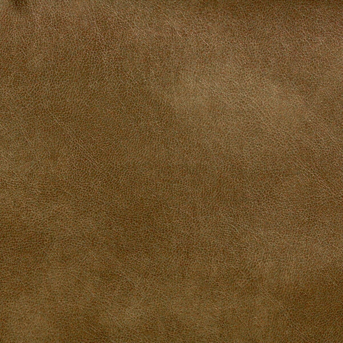 Stout Fabric Turco 10 Prairie LEATHER LOOKS III PERFORMANCE 100%OTH 4%OTH CHINA FLAME RETARDANT-CA BULLETIN 117-SECTION E FLAME RETARDANT-U.F.A.C. CLASS 1 FLAME RETARDANT-N.F.P.A. 260A CLASS 1 WYZENBEEK 500 000 DOUBLE RUB WEAR TEST(EXTREMELY HEAVY DUTY) FLAME RETARDANT-FMVSS 302 Horizontal: 0.000 and Vertical: 0.000 54 in - My Fabric Connection -