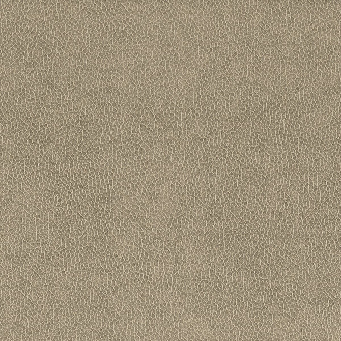 Stout Fabric Wilkinson 2 Dove On The Go 100% Polyurethane 1% Other CHINA FLAME RETARDANT-CA BULLETIN 117-SECTION E FLAME RETARDANT-U.F.A.C. CLASS 1 (OR A) FLAME RETARDANT-N.F.P.A. 260A CLASS 1 WYZENBEEK 500 000 DOUBLE RUB WEAR TEST(EXTREMELY HEAVY DUTY) FLAME RETARDANT-FMVSS 302 Horizontal: 0 and Vertical: 0 54 in - My Fabric Connection -