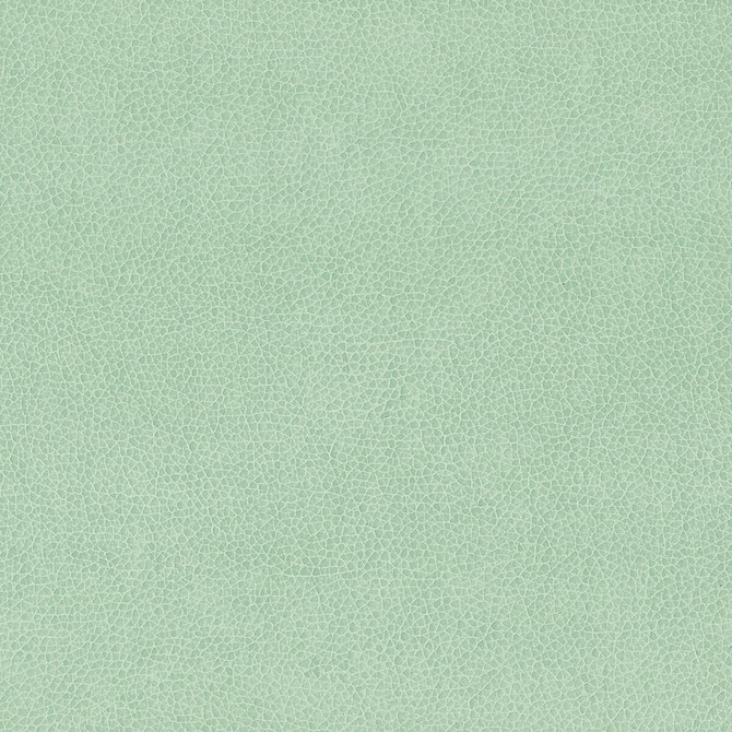 Stout Fabric Wilkinson 6 Spa Fabric CHINA FLAME RETARDANT-CA BULLETIN 117-SECTION E FLAME RETARDANT-U.F.A.C. CLASS 1 FLAME RETARDANT-N.F.P.A. 260A CLASS 1 WYZENBEEK 500 000 DOUBLE RUB WEAR TEST(EXTREMELY HEAVY DUTY) FLAME RETARDANT-FMVSS 302 </p><p>Repeat: H: 0.000, V: 0.000 54 in - My Fabric Connection -