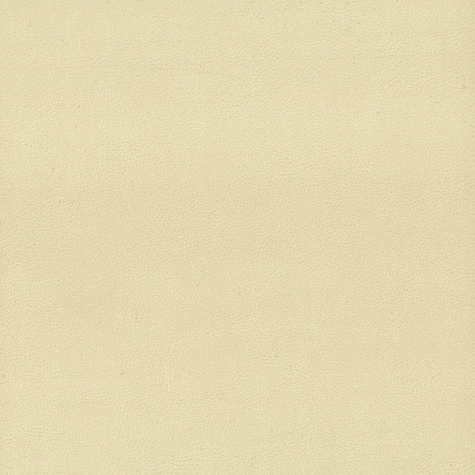 Stout Fabric Elbert 1 Parchment LEATHER LOOKS III PERFORMANCE 70%PVC 25%POL 5%POU CHINA PERFORMANCE RATED FABRIC CATB 117-2013 WYZENBEEK 80 000 DOUBLE RUB WEAR TEST (HEAVY DUTY) Horizontal: 0 and Vertical: 0 54 in - My Fabric Connection -