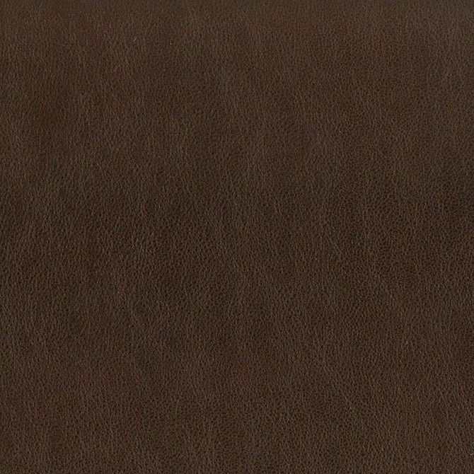 Stout Fabric Elbert 5 Espresso LEATHER LOOKS III PERFORMANCE 70%PVC 25%POL 5%POU CHINA PERFORMANCE RATED FABRIC CATB 117-2013 WYZENBEEK 80 000 DOUBLE RUB WEAR TEST (HEAVY DUTY) Horizontal: 0 and Vertical: 0 54 in - My Fabric Connection -