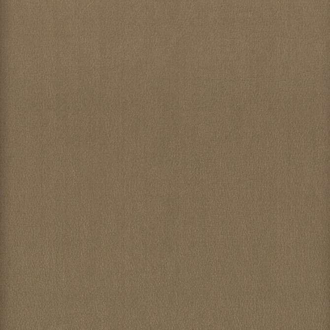 Stout Fabric Elbert 6 Shadow LEATHER LOOKS III PERFORMANCE 70%PVC 25%POL 5%POU CHINA Horizontal: 0.000 and Vertical: 0.000 54 in - My Fabric Connection -