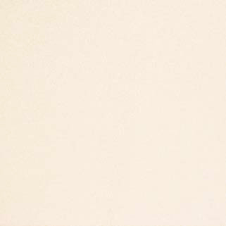 Carole Fabric Early Frost Ivory Pure & Simple 100% POLYESTER TURKEY N/A </p><p>Repeat: NONE 118" - My Fabric Connection -