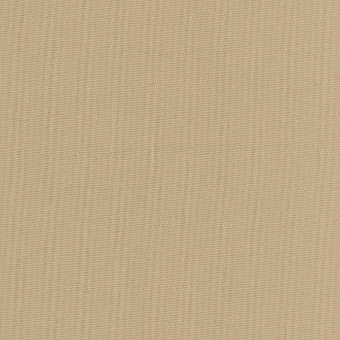 Carole Fabric Daydreamer Khaki Daydreaming 100% Cotton- Soil Release USA Passes 30,000 Double Rubs Wyzenbeek Horizontal: 0 and Vertical: 0 54 - My Fabric Connection -