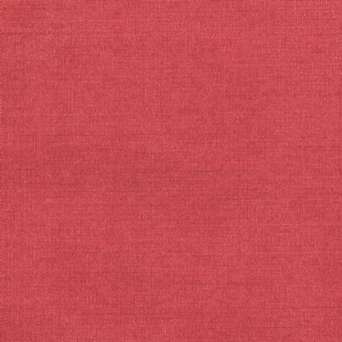 Carole Fabric Ultimate Poppy Room Service 80% RAYON, 20% POLYESTER INDIA NONE 54" - My Fabric Connection -