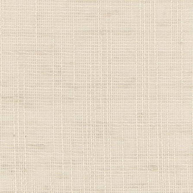 Carole Fabric Slow Down Chardonnay COME HOME,See It Through 100% Polyester India None 54" - My Fabric Connection -