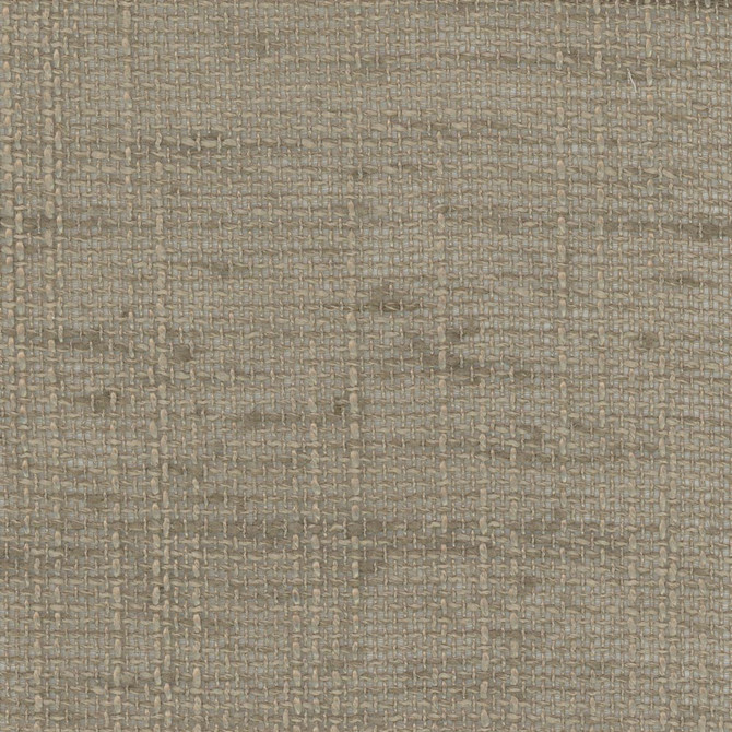 Carole Fabric Slow Down Mushroom Come Home 100% Polyester India N/A Horizontal: 0 and Vertical: 0 54 - My Fabric Connection -