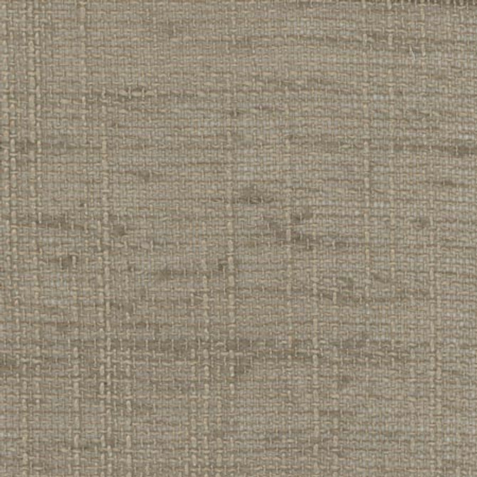 Carole Fabric Slow Down Mushroom COME HOME 100% Polyester India N/A Horizontal: None and Vertical: None 54" - My Fabric Connection -