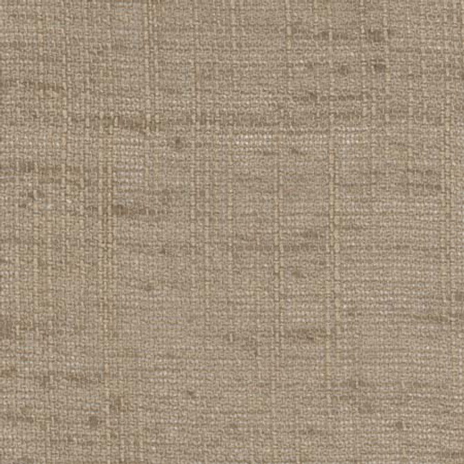 Carole Fabric Slow Down Mushroom COME HOME,See It Through 100% Polyester India None 54" - My Fabric Connection -