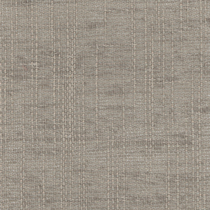 Carole Fabric Slow Down Storm COME HOME,See It Through,In The Open 100% Polyester N/A None 54" - My Fabric Connection -