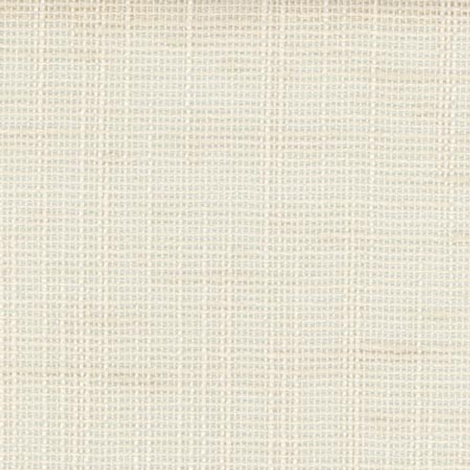 Carole Fabric Slow Down Vanilla COME HOME 100% Polyester India None 54" - My Fabric Connection -