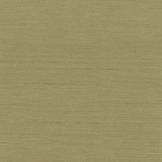 Carole Fabric Northwind Sage New Northwind Iii 100% Polyester India Passes 9,000 Double Rubs Wyznebeek Horizontal: 0" and Vertical: 0" 54" - My Fabric Connection -