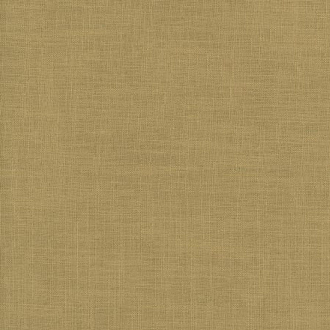 Carole Fabric Fundamental Canyon FUNDAMENTAL 100% Polyester Turkey Passes 20,000 Double Rubs Wyzenbeek Horizontal: 0" and Vertical: 0" 54" - My Fabric Connection -