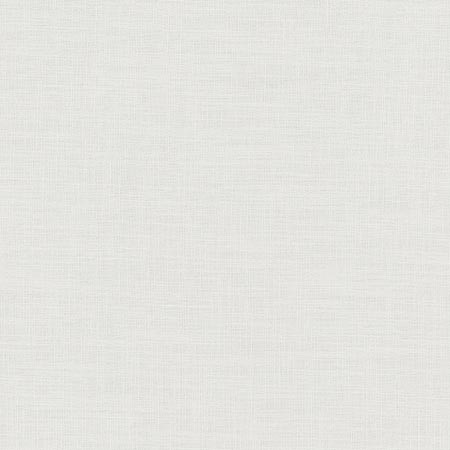 Carole Fabric Fundamental Pewter FUNDAMENTAL 100% Polyester Turkey Passes 20,000 Double Rubs Wyzenbeek </p><p>Repeat: None 54" - My Fabric Connection -