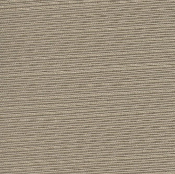 Carole Fabric Admission Taupe Fortitude 64% Spun Polyester, 36% Poly Fil India None 55" - My Fabric Connection -