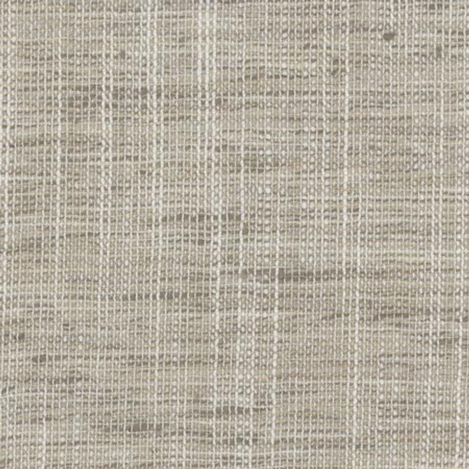 Carole Fabric Take Care Ash COME HOME 100% Polyester India N/A </p><p>Repeat: None 54" - My Fabric Connection -
