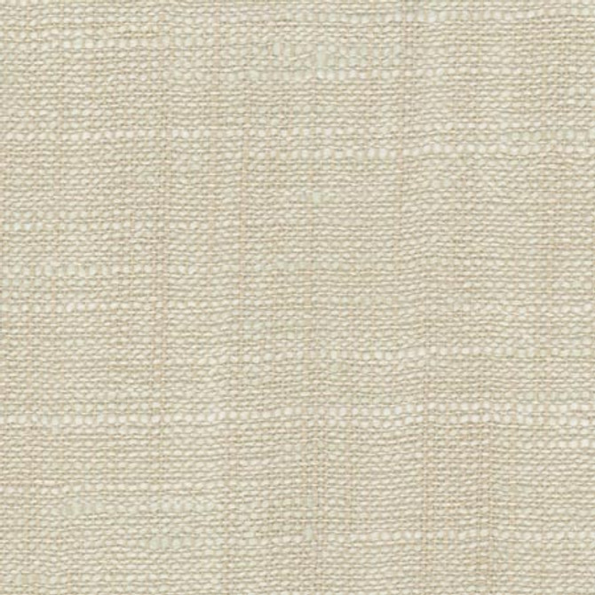 Carole Fabric Take Care Chablis COME HOME 100% Polyester India N/A </p><p>Repeat: None 54" - My Fabric Connection -