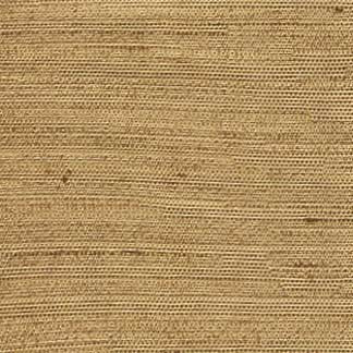 Carole Fabric Aiden Almond Aiden Gallery,Subtle Hints 100% Polyester INDIA PASSES 30,000 DOUBLE RUBS WYZENBEEK None 56" - My Fabric Connection -