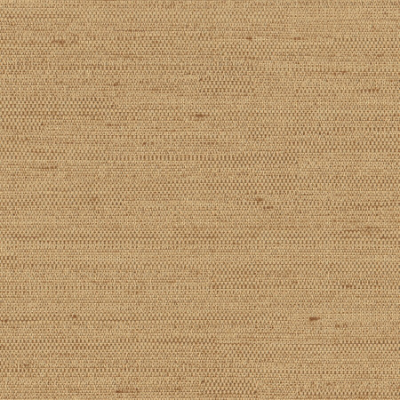 Carole Fabric Aiden Camel Aiden Gallery,Chestnut,Subtle Hints 100% Polyester INDIA PASSES 30,000 DOUBLE RUBS WYZENBEEK </p><p>Repeat: None 56" - My Fabric Connection -