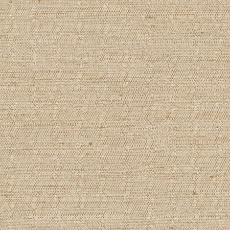 Carole Fabric Aiden Natural Aiden Gallery,Opal 100% Polyester INDIA PASSES 30,000 DOUBLE RUBS WYZENBEEK </p><p>Repeat: None 56" - My Fabric Connection -