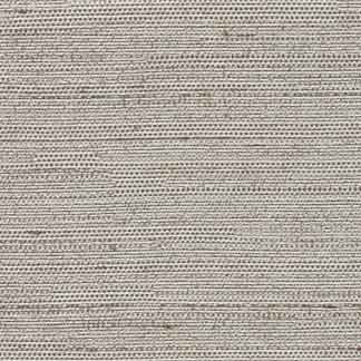 Carole Fabric Aiden Viridian Grey Subtle Hints,Aiden Gallery 100% Polyester INDIA PASSES 30,000 DOUBLE RUBS WYZENBEEK Horizontal: 0" and Vertical: 0" 56" - My Fabric Connection -