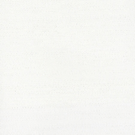 Carole Fabric Aiden White Aiden Gallery,Opal,Subtle Hints 100% Polyester India N/A None 54" - My Fabric Connection -