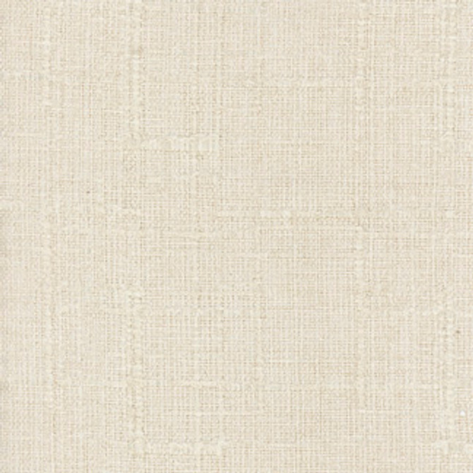 Carole Fabric Plush Textures Champagne Touchable 98% Polyester, 2% Nylon China N/A </p><p>Repeat: NONE 55" - My Fabric Connection -