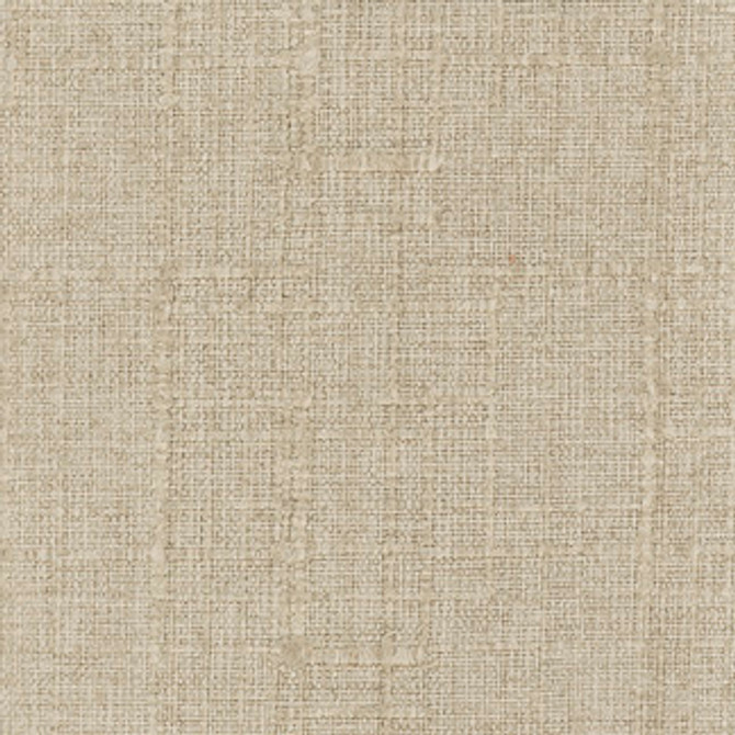 Carole Fabric Plush Textures Sand Touchable 98% Polyester, 2% Nylon China N/A </p><p>Repeat: NONE 55" - My Fabric Connection -