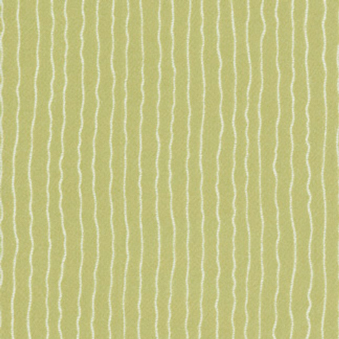 Carole Fabric Quarter Mile Avocado Northern Lights 100% Polyester China NONE 55" - My Fabric Connection -