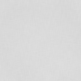 Carole Fabric Without Borders White Texture Theory 100% Polyester India None 54" - My Fabric Connection -