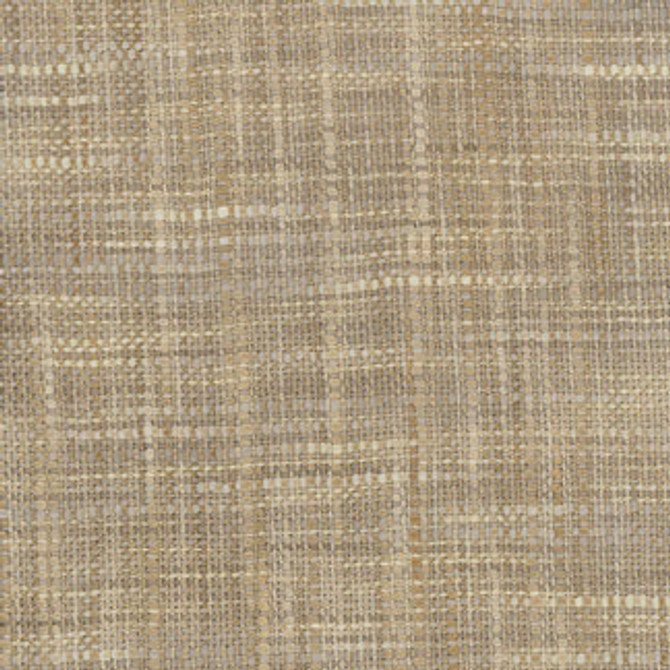 Carole Fabric Wiseman Chinchilla Class Historian 100% Polyester India N/A Horizontal: None and Vertical: None 54" - My Fabric Connection -