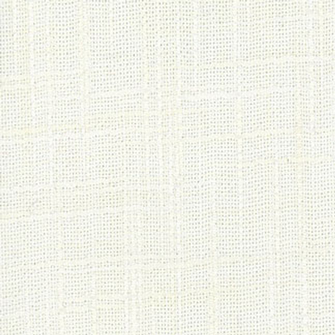 Carole Fabric Wiseman Ivory Class Historian 100% Polyester India N/A Horizontal: None and Vertical: None 54" - My Fabric Connection -
