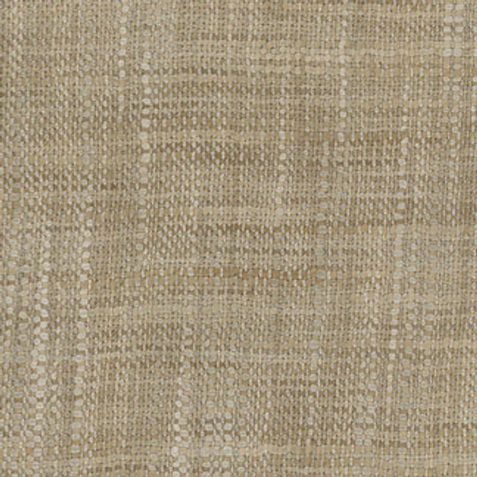 Carole Fabric Wiseman Smoke Class Historian 100% Polyester India None 54" - My Fabric Connection -