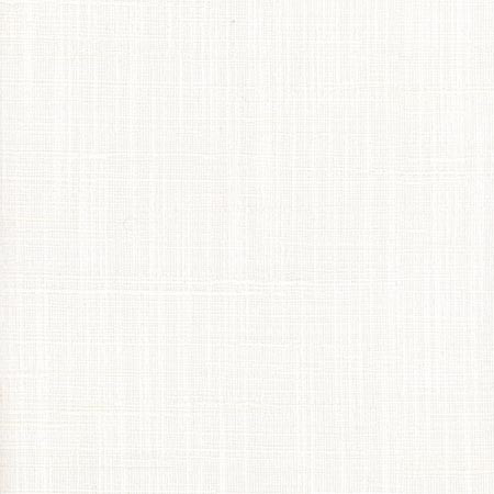 Carole Fabric Totally Relaxed Off White COME HOME 90% Polyester, 10% Cotton India None 54" - My Fabric Connection -