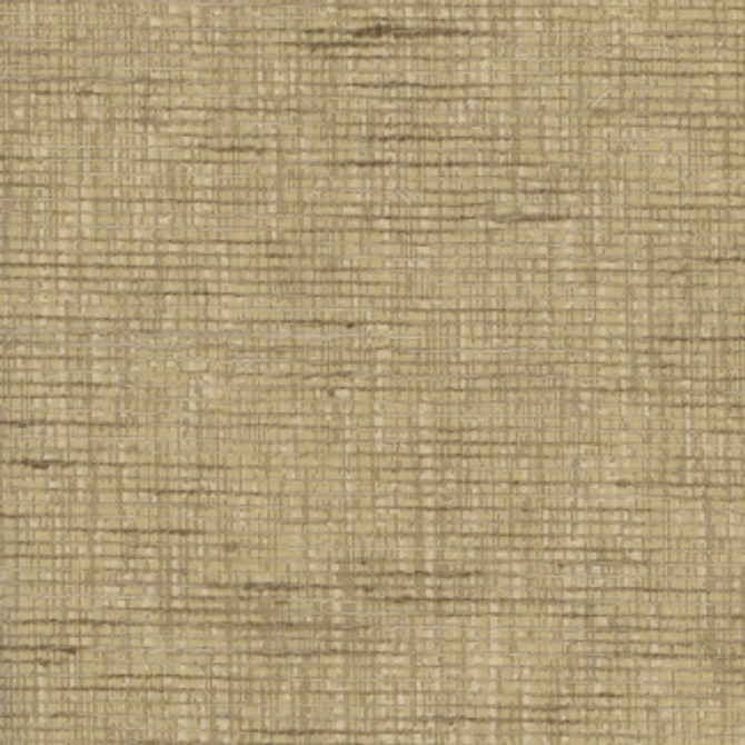 Carole Fabric Next Article Camel STATIONERY 100% Polyester India N/A Horizontal: None and Vertical: None 54" - My Fabric Connection -