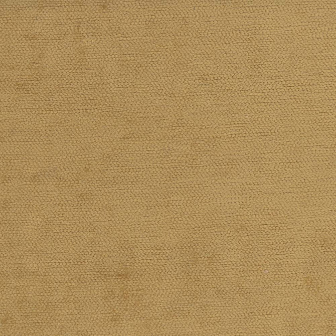 Carole Fabric Savoir Faire Vintage Gold Temptress 100% Polyester India Passes 50,000 Double Rubs Wyzenbeek Horizontal: 0 and Vertical: 0 55 - My Fabric Connection -