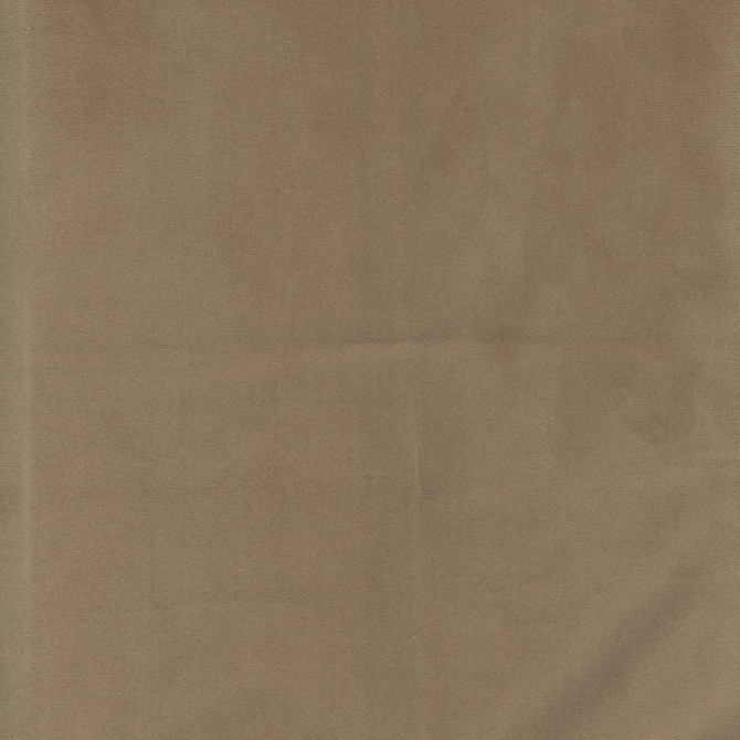 Carole Fabric Presence Khaki Velvet Touch 100% Polyester China Passes 30,000 Double Rubs Wyzenbeek Horizontal: 0 and Vertical: 0 55 - My Fabric Connection -