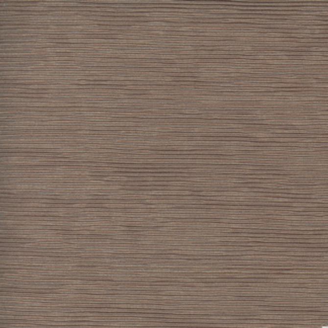 Carole Fabric First Novel Mushroom STATIONERY 72% Rayon, 28% Polyester China Passes 30,000 Double Rubs Wyzenbeek Horizontal: None and Vertical: None 55" - My Fabric Connection -