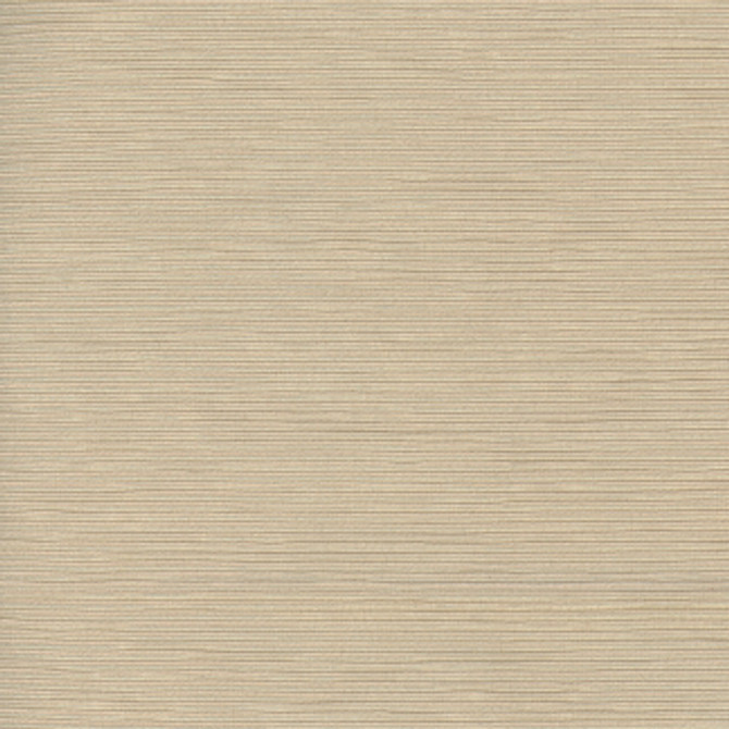 Carole Fabric First Novel Wafer STATIONERY 72% Rayon, 28% Polyester China None 55" - My Fabric Connection -