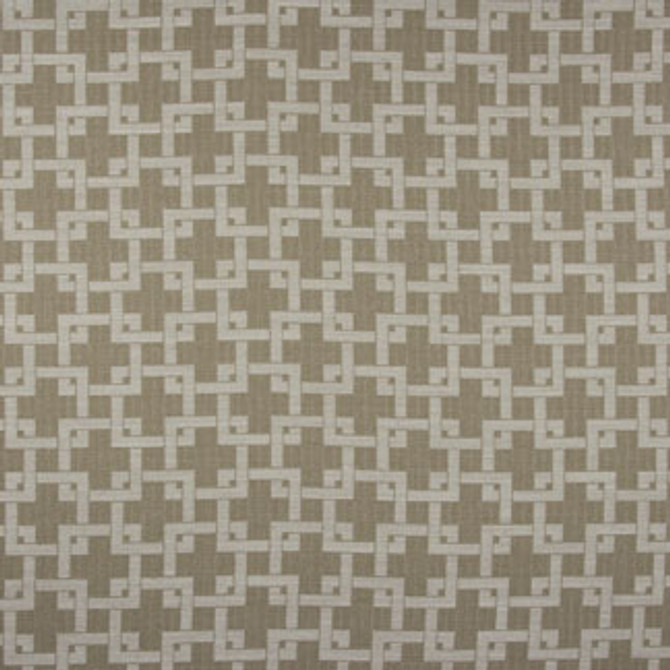 Carole Fabric Field Guide Straw Good Life 80% Polyester, 12% Linen, 8% Cotton India Passes 30,000 Double Rubs Wyzenbeek Horizontal: 4 1/2" and Vertical: 4 1/2" V 55" - My Fabric Connection -