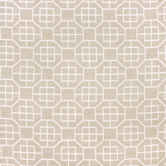 Carole Fabric Photo Session Parchment COCONUT CREAM 61% Polyester, 39% Cotton India 10 1/4" V, 9 1/2" H 52" - My Fabric Connection -