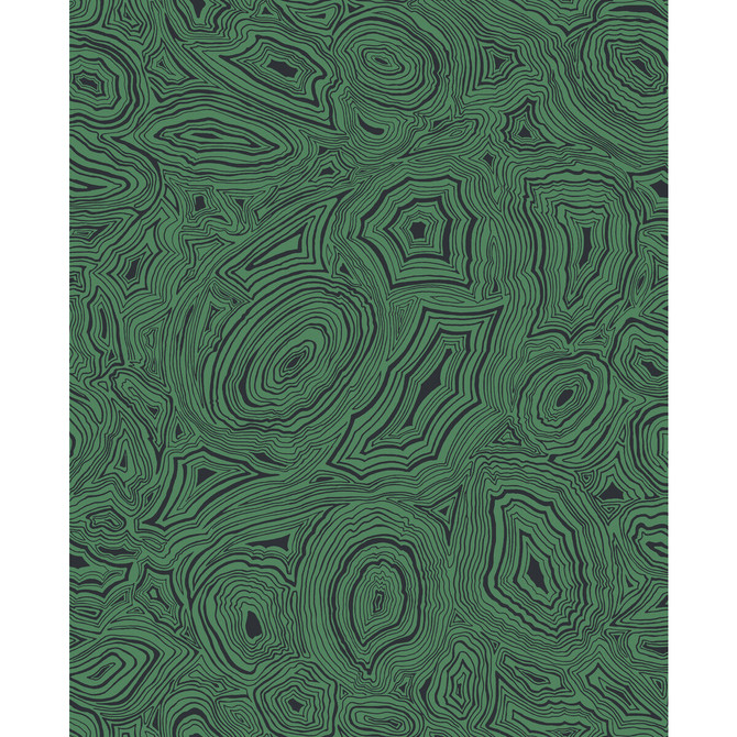 Cole & Son Wallcovering Malachite Emerald/Black Wallcovering PAPER - 100% United Kingdom </p><p>Repeat: H: 20.5, V: 25.2 20.5 - My Fabric Connection -