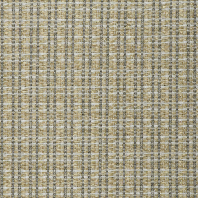 Gaston Y Daniela Fabric Mauregato Crudo LORENZO CASTILLO V COTTON - 54%;POLYAMIDE - 28%;POLYESTER - 18% Italy HEAVY Horizontal: 1.18 and Vertical: 1.18 54.33 - My Fabric Connection -